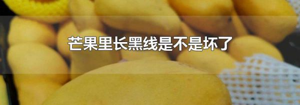芒果里长黑线是不是坏了