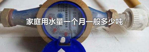 家庭用水量一个月一般多少吨