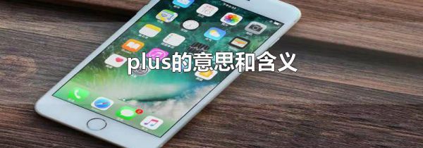 plus的意思和含义