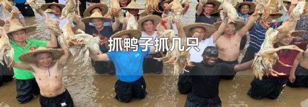 抓鸭子抓几只