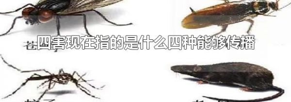 四害现在指的是什么四种能够传播