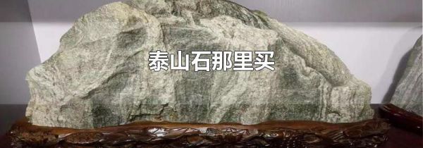 泰山石那里买