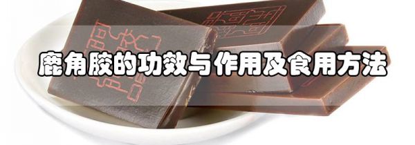 鹿角胶的功效与作用及食用方法