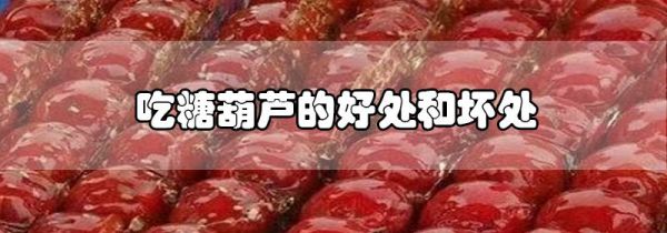 吃糖葫芦的好处和坏处