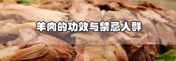 羊肉的功效与禁忌人群