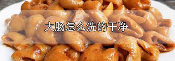 大肠怎么洗的干净