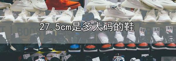27.5cm是多大码的鞋