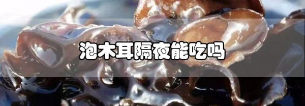 泡木耳隔夜能吃吗