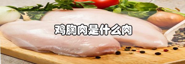 鸡胸肉是什么肉