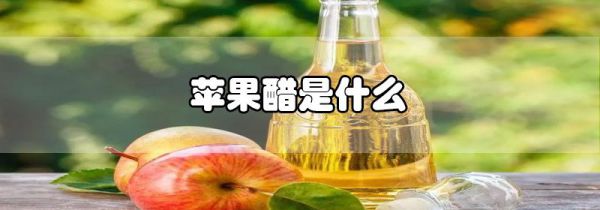 苹果醋是什么