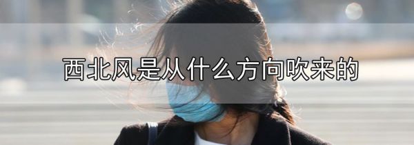 西北风是从什么方向吹来的