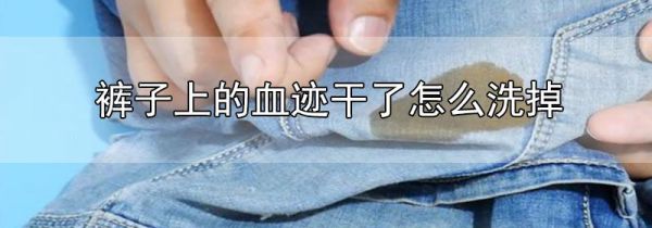 裤子上的血迹干了怎么洗掉