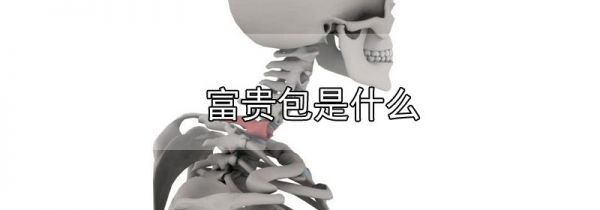 富贵包是什么