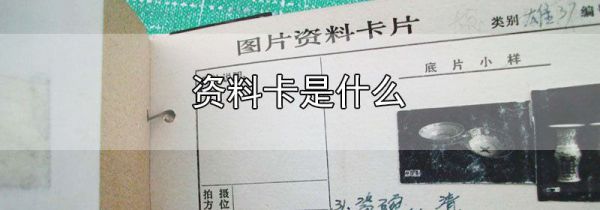 资料卡是什么