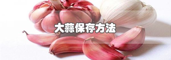 大蒜保存方法