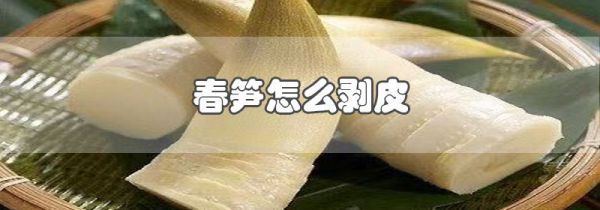 春笋怎么剥皮