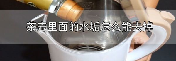 茶壶里面的水垢怎么能去掉