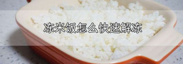 冻米饭怎么快速解冻