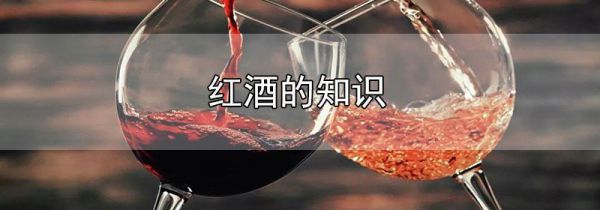 红酒的知识