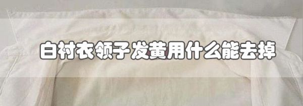白衬衣领子发黄用什么能去掉