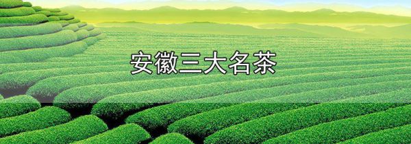 安徽三大名茶
