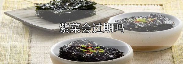 紫菜会过期吗