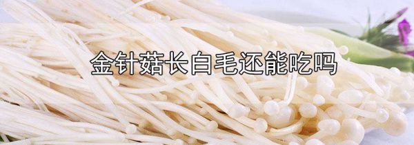 金针菇长白毛还能吃吗
