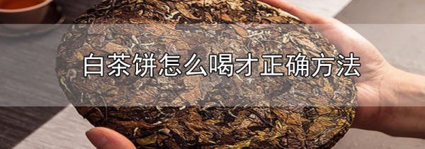 白茶饼怎么喝才正确方法