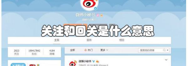 关注和回关是什么意思