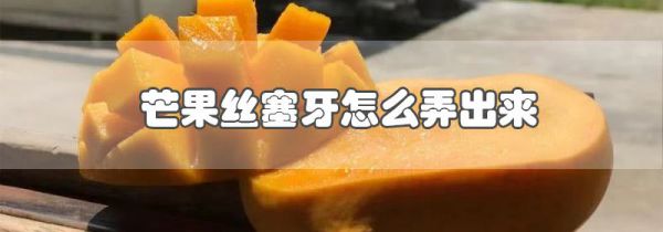 芒果丝塞牙怎么弄出来