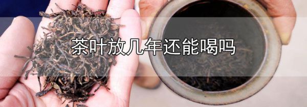 茶叶放几年还能喝吗