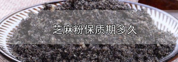 芝麻粉保质期多久