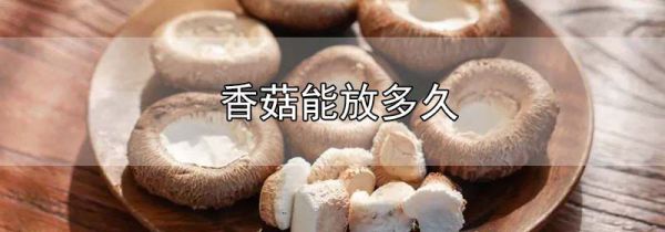香菇能放多久