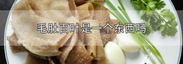 毛肚百叶是一个东西吗