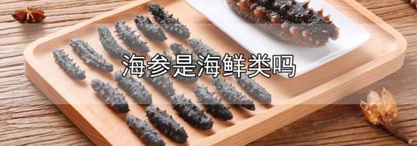 海参是海鲜类吗?