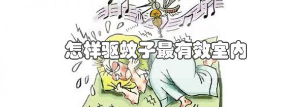 怎样驱蚊子最有效室内
