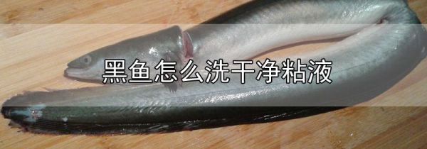 黑鱼怎么洗干净粘液