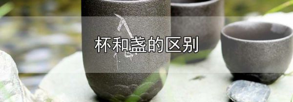 杯和盏的区别