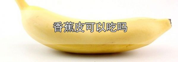 香蕉皮可以吃吗