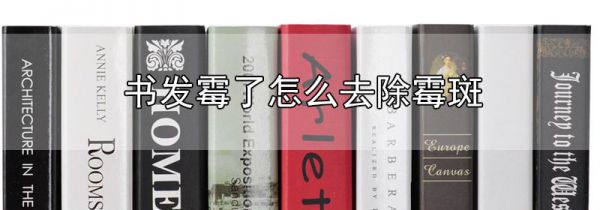 书发霉了怎么去除霉斑