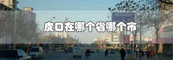 皮口在哪个省哪个市