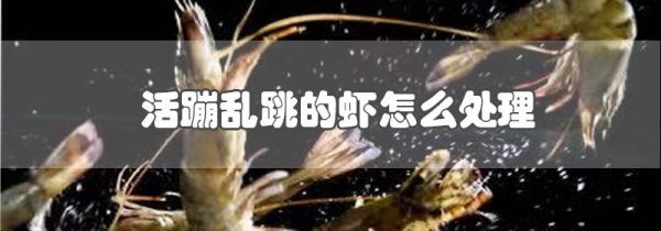 活蹦乱跳的虾怎么处理