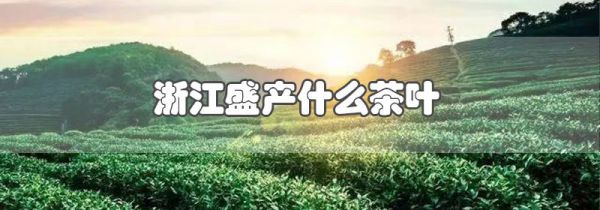 浙江盛产什么茶叶