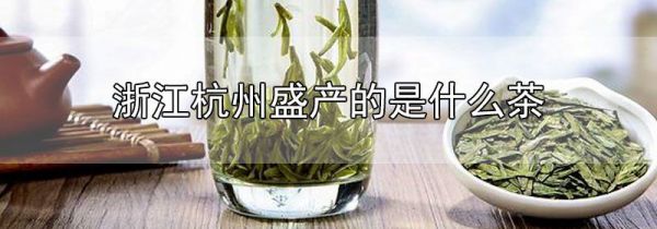浙江杭州盛产的是什么茶