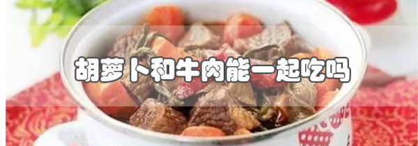胡萝卜和牛肉能一起吃吗