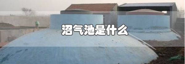 沼气池是什么