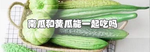 南瓜和黄瓜能一起吃吗