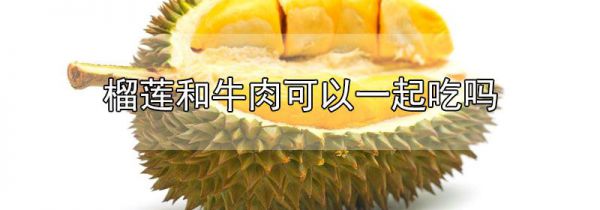 榴莲和牛肉可以一起吃吗