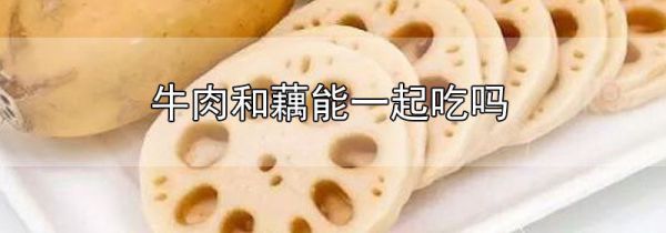 牛肉和藕能一起吃吗