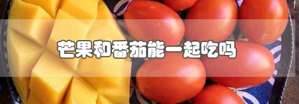 芒果和番茄能一起吃吗